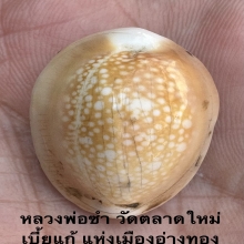 เบี้ยแก้ปิดฟอยล์อลูมีเนียม หลวงพ่อซำ อ่างทอง 2485