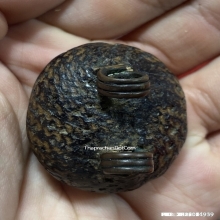 เบี้ยแก้หลวงปู่บุญ วัดกลางบางแก้ว จ.นครปฐม ยุคต้น