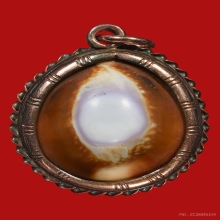 เบี้ยแก้คหบดีหลวงพ่อคำ ดาราหนังเสือ