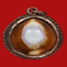 เบี้ยแก้คหบดีหลวงพ่อคำ ดาราหนังเสือ