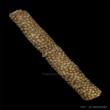 ตะกรุดหนังปลากระเบน หลวงพ่อน้อย วัดคงคาราม จ. พิจิตร