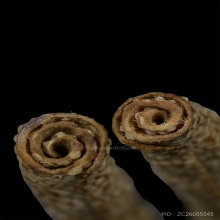 ตะกรุดหนังปลากระเบน หลวงพ่อน้อย วัดคงคาราม จ. พิจิตร