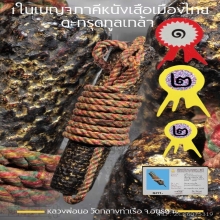 ตะกรุดหนังหน้าผากเสือทูลเกล้าหลวงพ่อนอ 