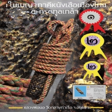 ตะกรุดหนังหน้าผากเสือทูลเกล้าหลวงพ่อนอ 