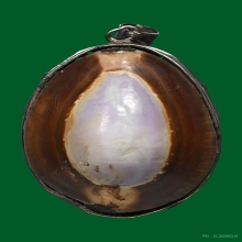 เบี้ยแก้ทวิภาคีเมืองอ่างทอง หลวงพ่อคำ หลวงพ่อนุ่ม