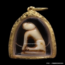 เสือหลวงพ่อแตง วัดอ่างศิลา จ.ชลบุรี