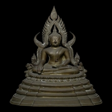 เกาหลี2493