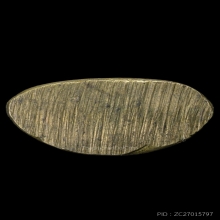 พระชัยสุจิตโต วัดบวร ปี2495 สวย