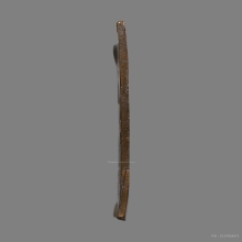 เหรียญแมงกระบี้ไม่ตัดปีก หลวงพ่อเดิม วัดหนองโพ 2470