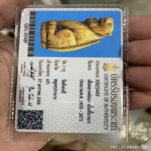 เขี้ยวเสือหลวงพ่อนก วัดสังกะสี ยุคต้นเก่ามาก