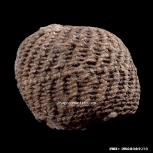 ลูกกระดอนสะท้อน หลวงพ่อรุ่ง วัดท่ากระบือ จ.สมุทรสาคร 