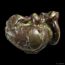 ฤาษีพัดโบกนคร