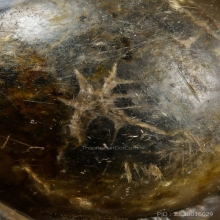 “สุดยอดสีผึ้งมหาเสน่ห์ตัวจริง“หลวงพ่อทาบ กระบกขึ้นผึ้ง