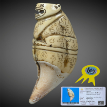 เสือหลวงพ่อสาย วัดคลองด่าน พร้อมบัตรสมาคมติดรางวัลที่2