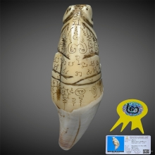 เสือหลวงพ่อสาย วัดคลองด่าน พร้อมบัตรสมาคมติดรางวัลที่2