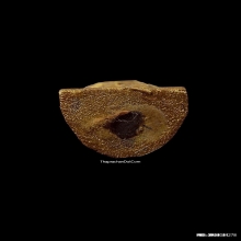 สี่หูห้าตาครูบาบุญยัง เนื้อไม้ม่วงคำ ปี2545