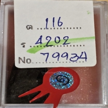 หลวงปู่ทวด อจ ทอง วัดสำเภาเชย รุ่นแรก ปี05 แชมป์งานสมาคม