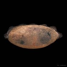 พระกริ่ง จปร พิมพ์บาเก็ง 2526