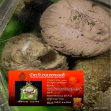 ชุดเครื่องรางพระผงพรายกุมาร หลวงปู่ทิม