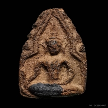 พลายคู่ตัดเดี่ยว