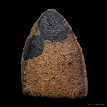 พลายคู่ตัดเดี่ยว