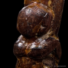 “ปลัดนางครวญยุคต้น”หลวงพ่อคง วังสรรพรส