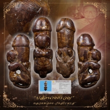 “ปลัดนางครวญยุคต้น”หลวงพ่อคง วังสรรพรส