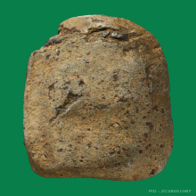 พระคงเขียว