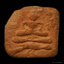 ลพปานขี่นก