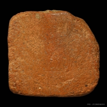 ลพปานขี่นก