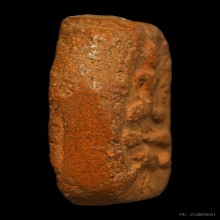 ลพปานขี่นก