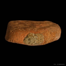 ลพปานขี่นก