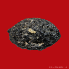 ตะกรุดหนังหน้าผากเสือหลวงพ่อเต๋ วัดสามง่าม