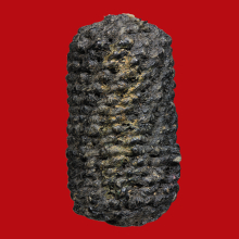 ตะกรุดหนังหน้าผากเสือหลวงพ่อเต๋ วัดสามง่าม