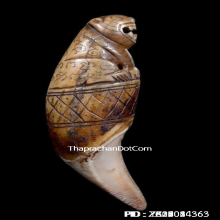 เขี้ยวเสือหลวงพ่อนก วัดสังกะสี ยุคต้นเก่ามาก