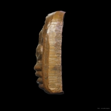 ปรกใบมะขาม สมเด็จพระพุฒาจารย์(นวม)  พิมพ์สามชั้น บล๊อกแตก 