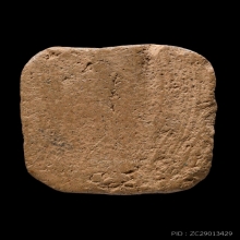 หลวงพ่อปานพิมพ์ไก่หางพวงสวยระดับประกวดครับ