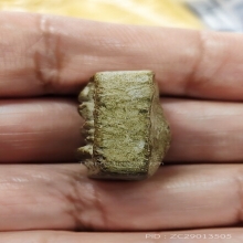 พระพิมพ์หลวงพ่อปานขี่เม่นเนื้อว่านยาหลวงพ่อพิณ วัดอุบล ปี84