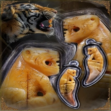 พยัคฆ์เขี้ยวแก้ว ( เเกะเสือ ) ยุคต้น ปี2548