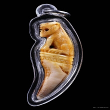 พยัคฆ์เขี้ยวแก้ว ( เเกะเสือ ) ยุคต้น ปี2548