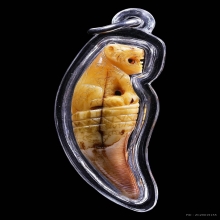 พยัคฆ์เขี้ยวแก้ว ( เเกะเสือ ) ยุคต้น ปี2548