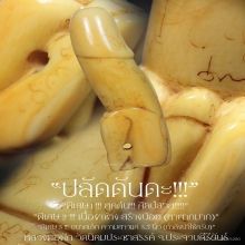 “ปลัดขิก“ หลวงพ่อฟัก วัดนิคมประชาสรรค์ จ.ประจวบคีรีขันธ์