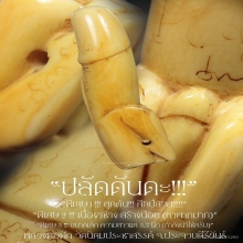 “ปลัดขิก“ หลวงพ่อฟัก วัดนิคมประชาสรรค์ จ.ประจวบคีรีขันธ์