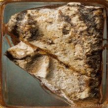 ส่วนพระสมเด็จ วัดบางขุนพรหม ติดองค์พระ ใช่พุทธคุฌ