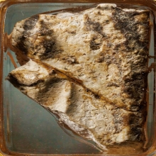 ส่วนพระสมเด็จ วัดบางขุนพรหม ติดองค์พระ ใช่พุทธคุฌ