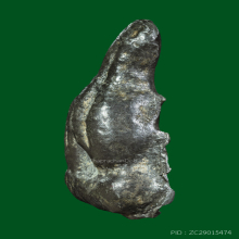 หลวงปู่ยิ้ม วัดหนองบัว