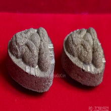 พระปิดตานวะมหามงคล หลวงพ่อคูณ วัดบ้านไร่ ปี 42