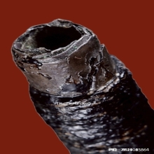 ตะกรุดหลวงพ่อปาน วัดคลองด่าน จ.สมุทรปราการ เนื้อเงิน ยุคต้น