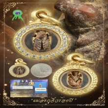 “แมลงภู่ร้อยปีจิ๋วที่สุดที่เคยเห็นมา!!!”(ติดรางวัลที่3)