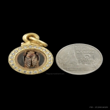 “แมลงภู่ร้อยปีจิ๋วที่สุดที่เคยเห็นมา!!!”(ติดรางวัลที่3)